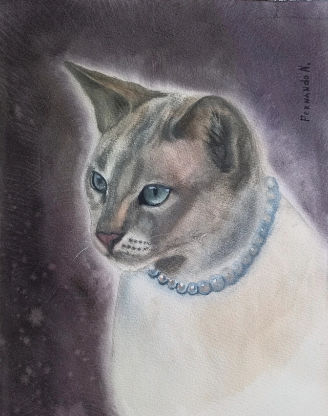 Кошка с голубым ошейником