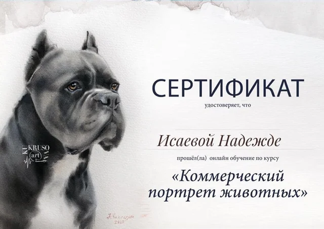 Документ об обучении Надежды из личного архива